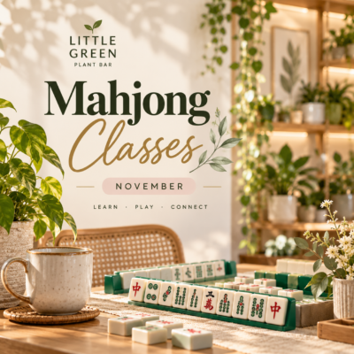Beginner Mahjong Class in Redwood City